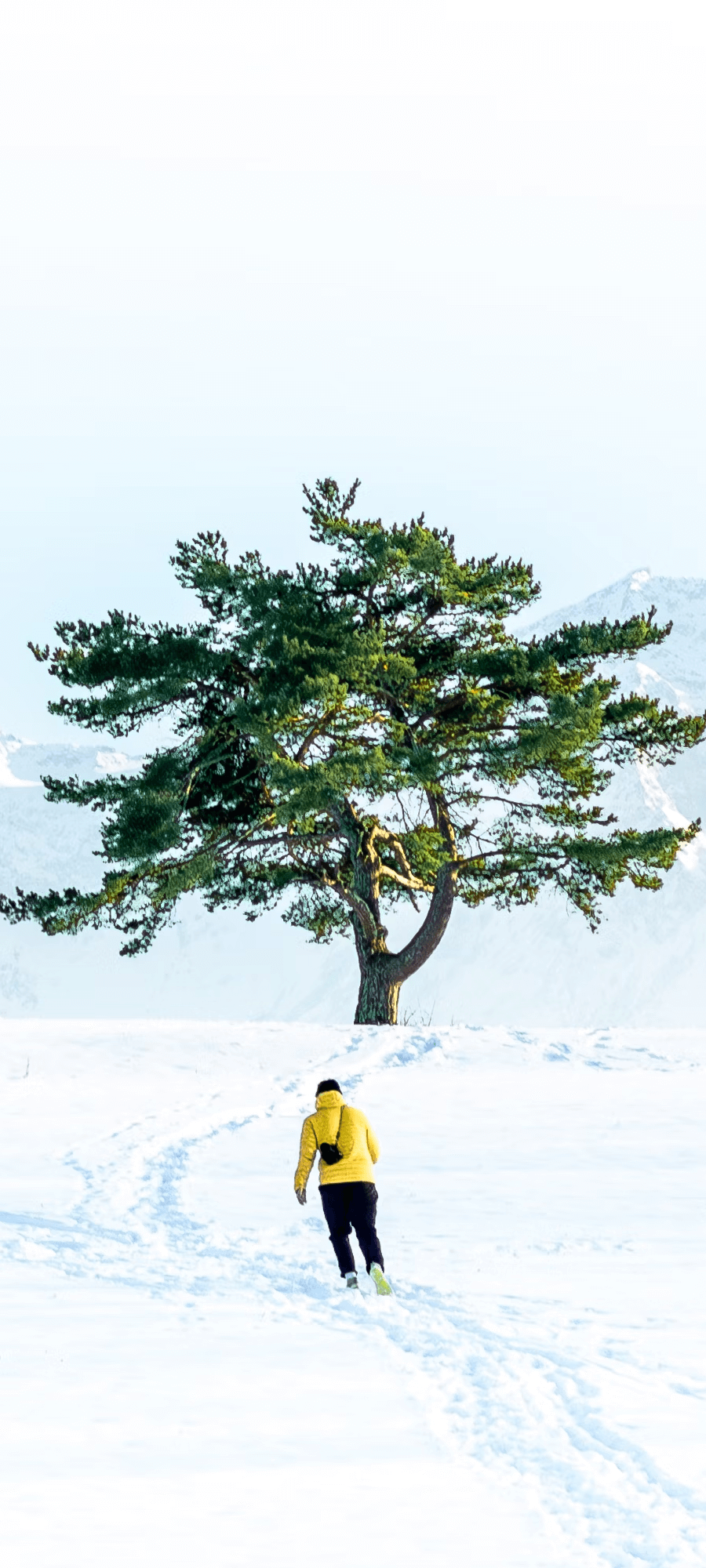 Meta Image Prompt generated images from idea text.