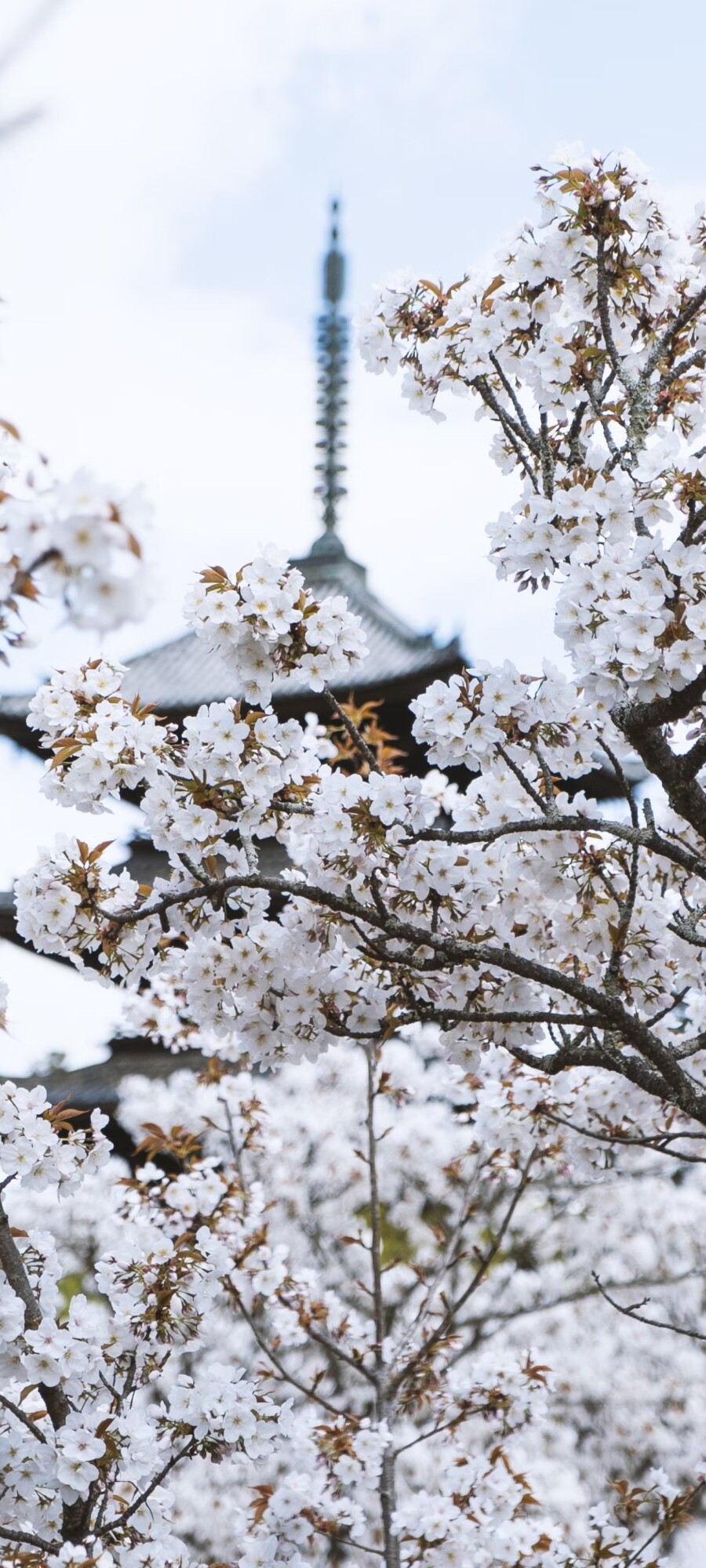 Meta Image Prompt generated images from idea text.